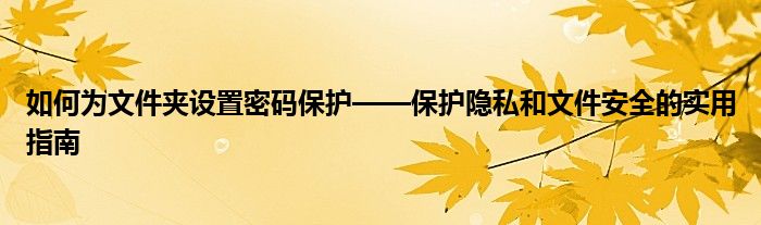 如何为文件夹设置密码保护——保护隐私和文件安全的实用指南