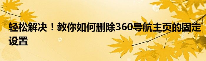 轻松解决！教你如何删除360导航主页的固定设置