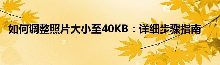 如何调整照片大小至40KB：详细步骤指南