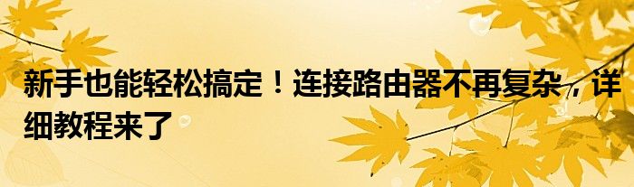 新手也能轻松搞定！连接路由器不再复杂，详细教程来了