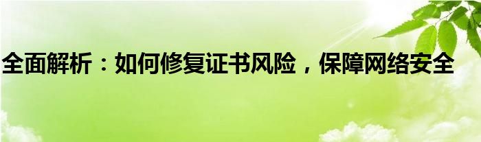 全面解析：如何修复证书风险，保障网络安全