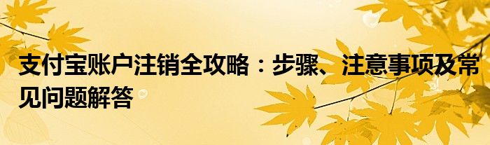 支付宝账户注销全攻略：步骤、注意事项及常见问题解答