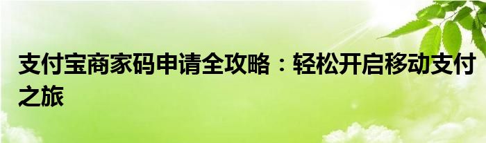 支付宝商家码申请全攻略：轻松开启移动支付之旅