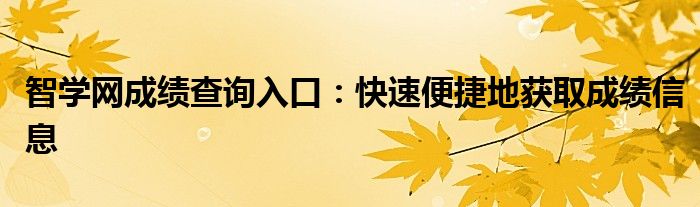 智学网成绩查询入口：快速便捷地获取成绩信息