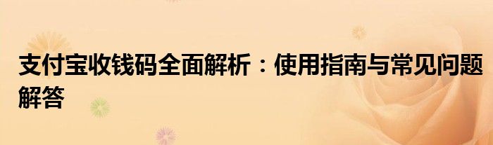 支付宝收钱码全面解析：使用指南与常见问题解答