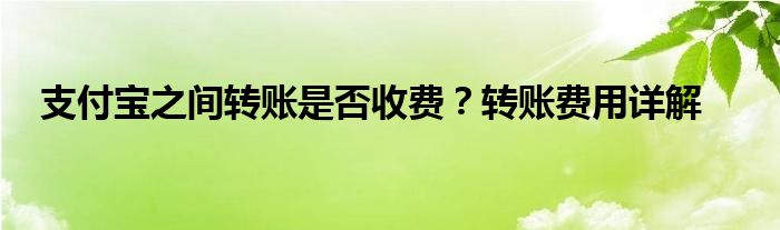 支付宝之间转账是否收费？转账费用详解