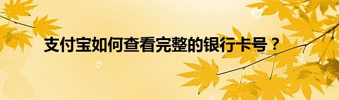 支付宝如何查看完整的银行卡号？