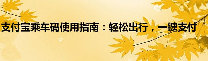 支付宝乘车码使用指南：轻松出行，一键支付