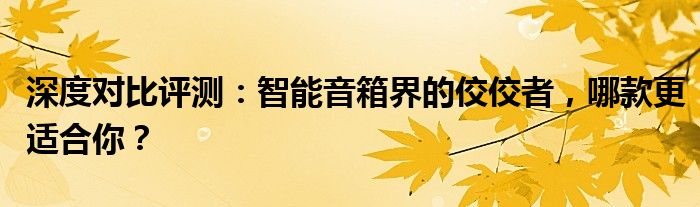 深度对比评测：智能音箱界的佼佼者，哪款更适合你？