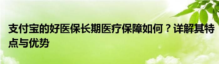 支付宝的好医保长期医疗保障如何？详解其特点与优势