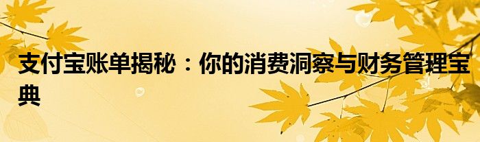 支付宝账单揭秘：你的消费洞察与财务管理宝典