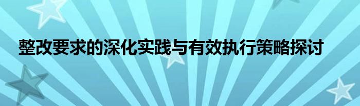 整改要求的深化实践与有效执行策略探讨