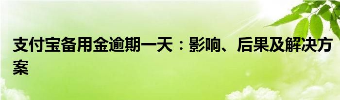 支付宝备用金逾期一天：影响、后果及解决方案