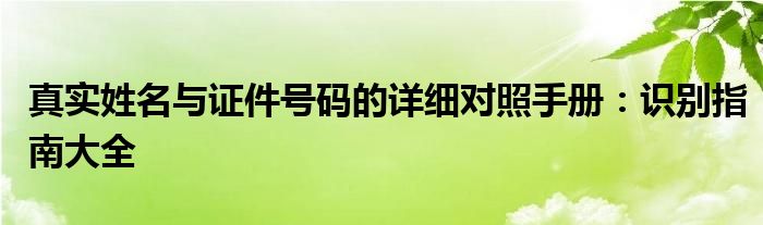 真实姓名与证件号码的详细对照手册：识别指南大全