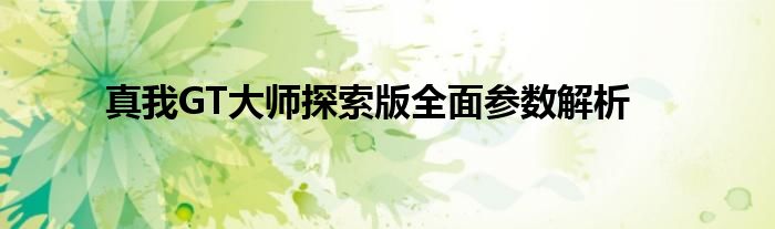 真我GT大师探索版全面参数解析