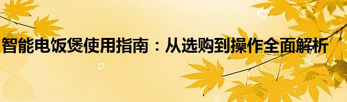 智能电饭煲使用指南：从选购到操作全面解析