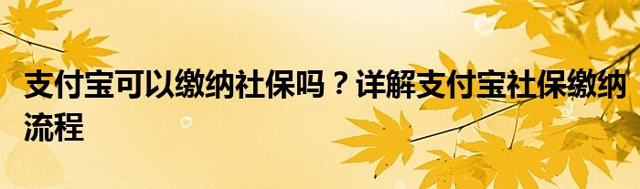 支付宝可以缴纳社保吗？详解支付宝社保缴纳流程