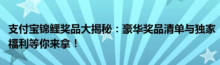 支付宝锦鲤奖品大揭秘：豪华奖品清单与独家福利等你来拿！